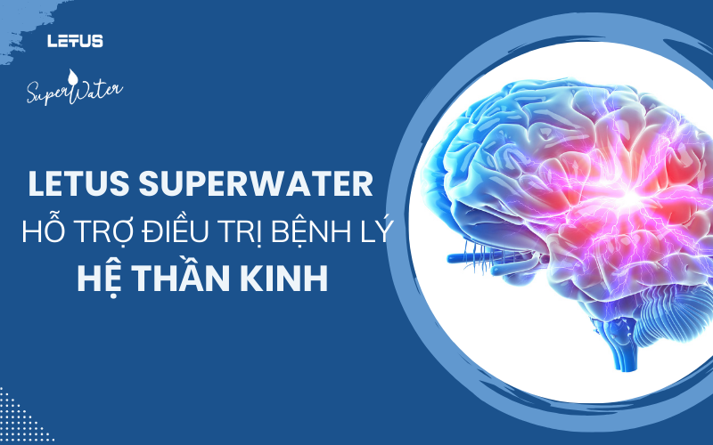 Letus SuperWater hỗ trợ bệnh lý liên quan đến hệ thần kinh